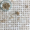 Botticino Mosaic Polished Marble Tiles